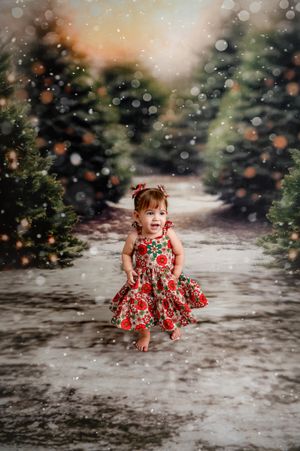 Kalgoorlie Christmas Minis