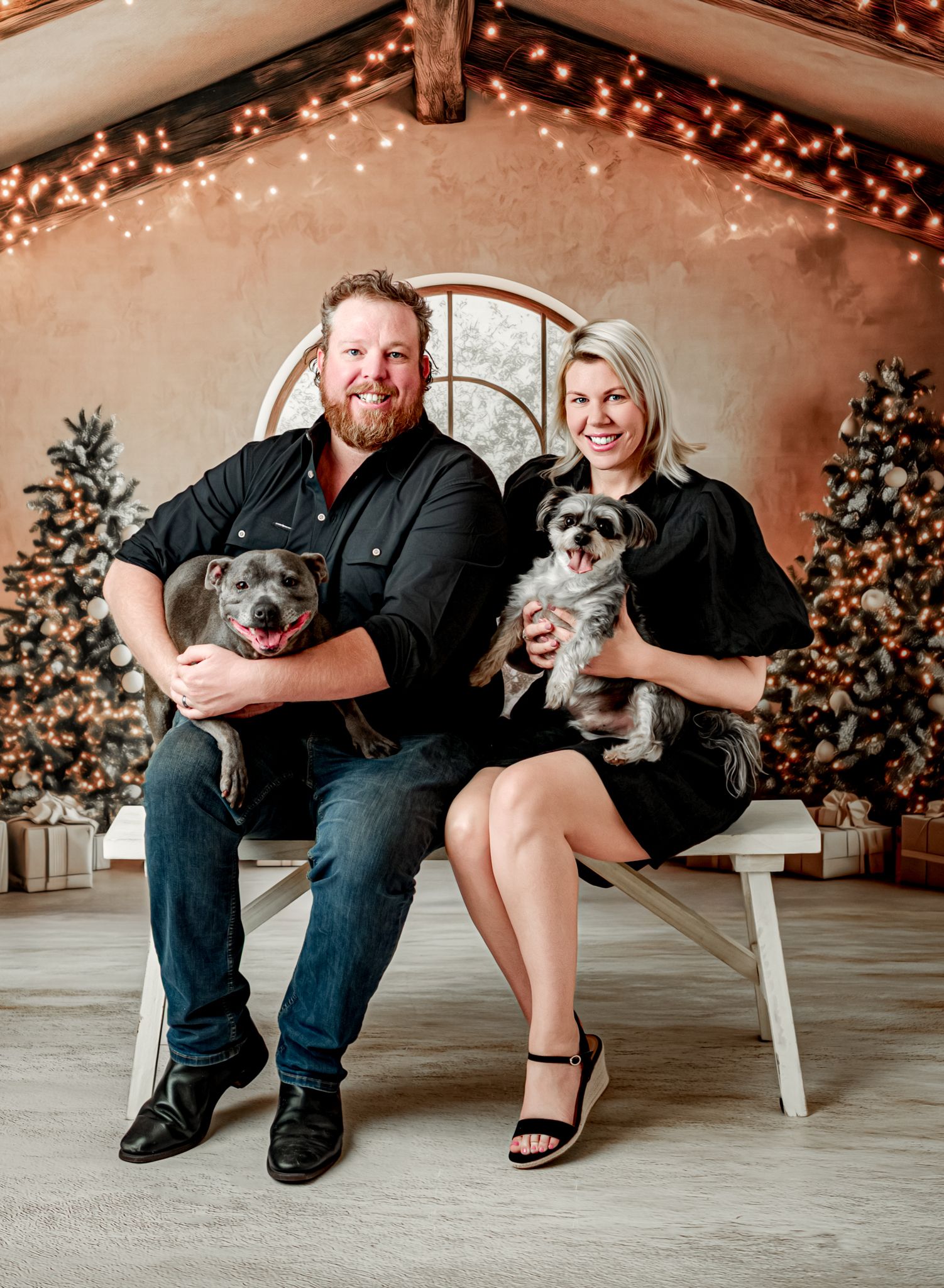 A couple poses on a white bench with their two small dogs against a backdrop of Christmas trees and twinkling lights.