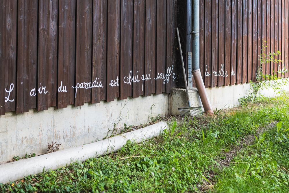 French cursive graffiti quote on a wooden fence wall with a drainpipe, surrounded by green grass and plants.