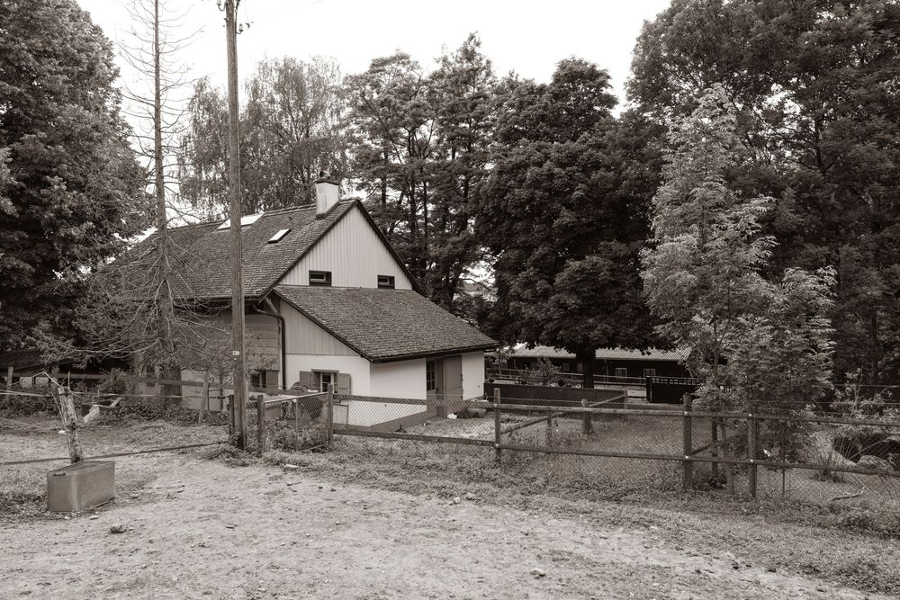 Black and white photo of a rustic farmhouse with wooden fences surrounded by tall trees on a dirt path.