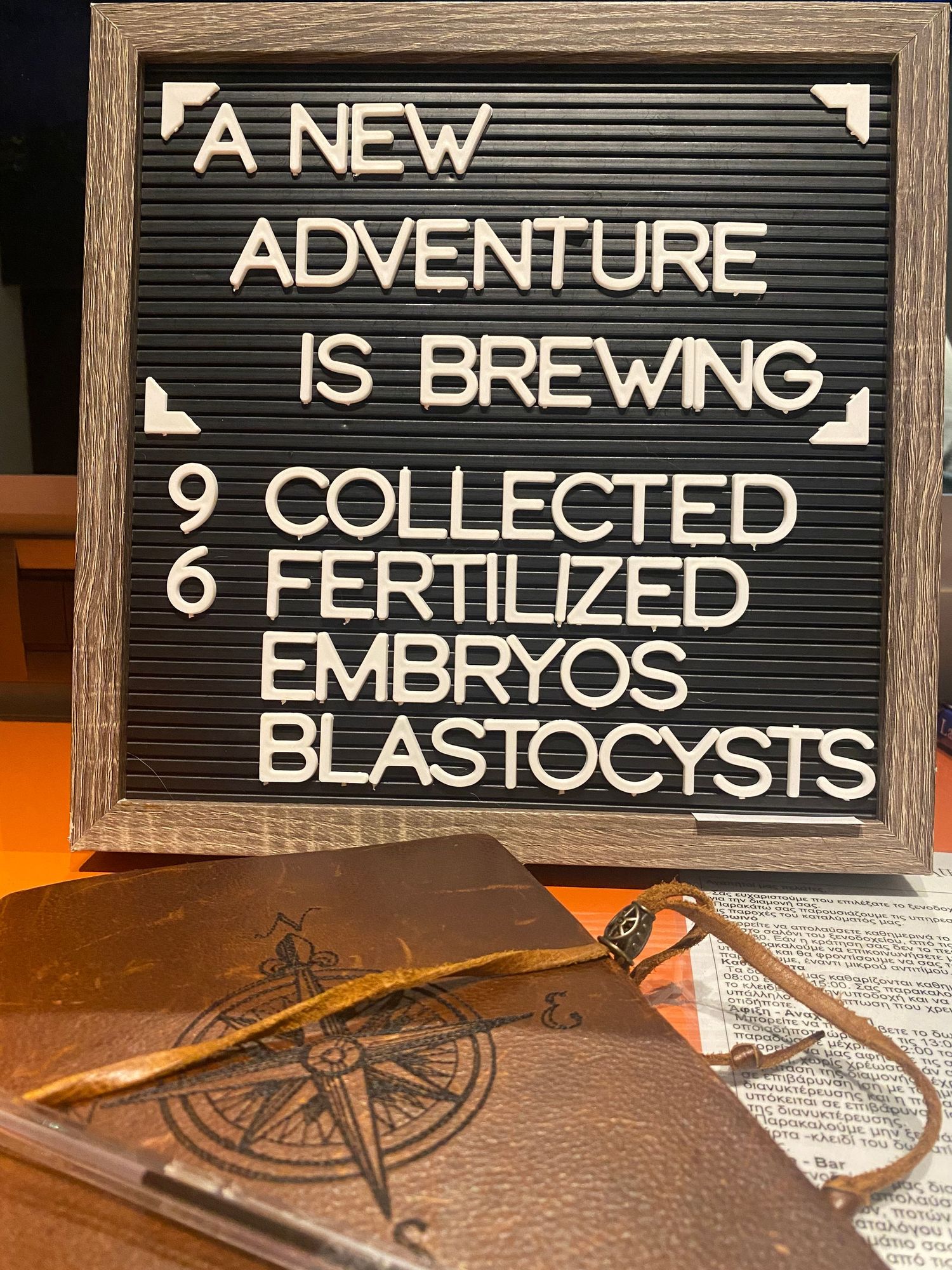 A series of rustic letter boards displaying IVF journey milestones with a decorative compass in the background.