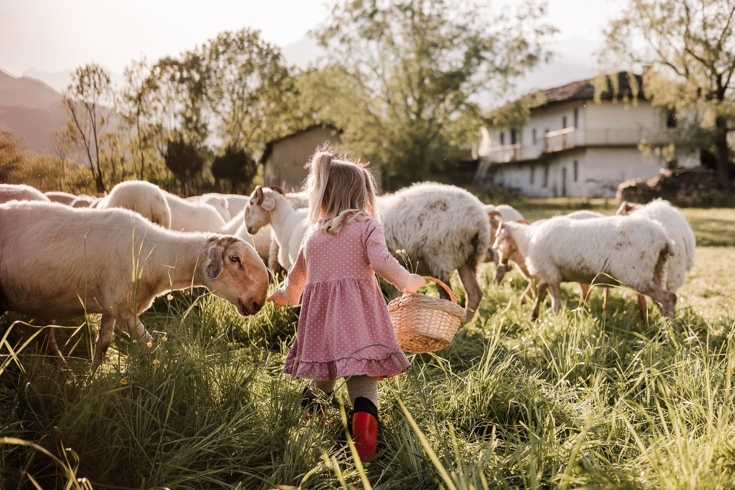 Servizio fotografico bambini, ritratto bambini, ritratto famiglia