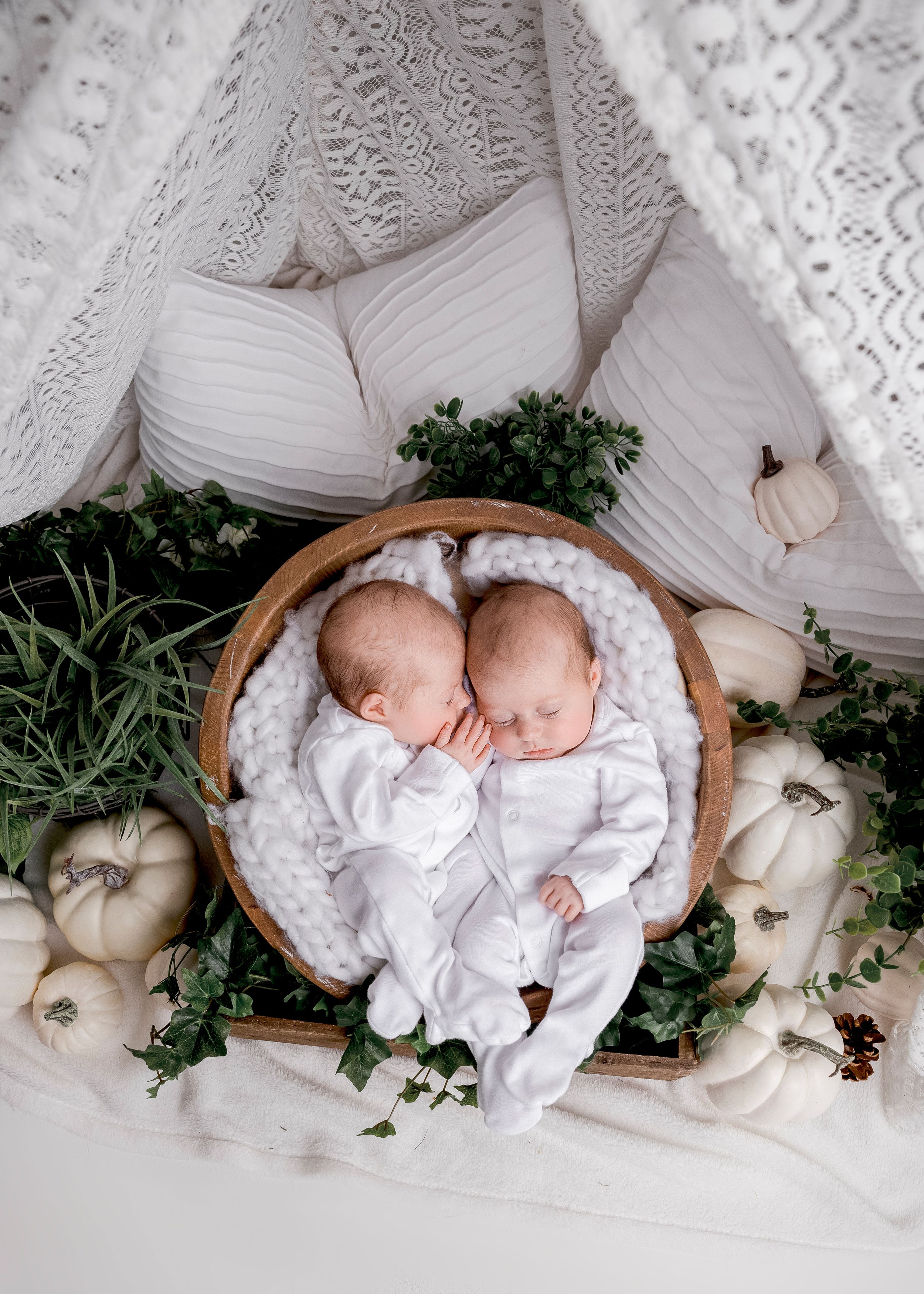 newborn family photo twins cork waterford in basket with pumpkins