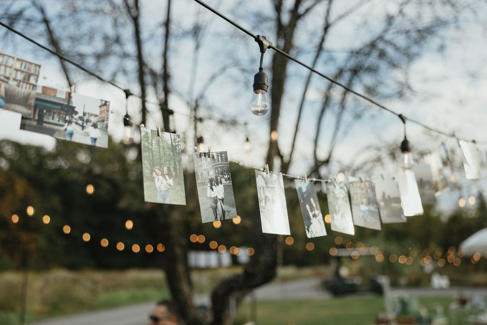 String lights and decorative photos hang between trees at an outdoor event setting.