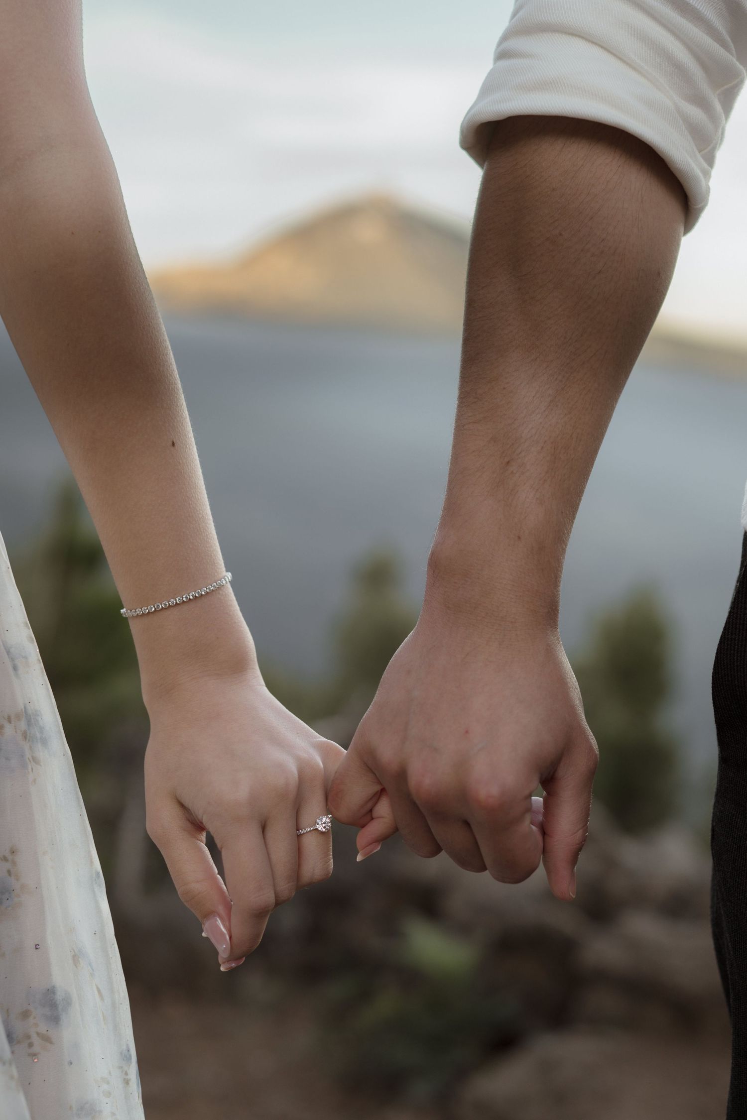 Close-up view of hands with gold rings showing off different poses and angles in natural lighting.