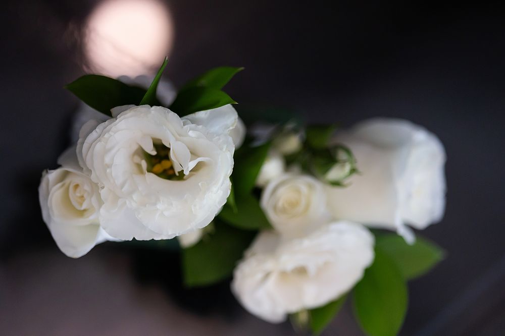 A series of white roses with green leaves arranged in a horizontal line against a dark background.