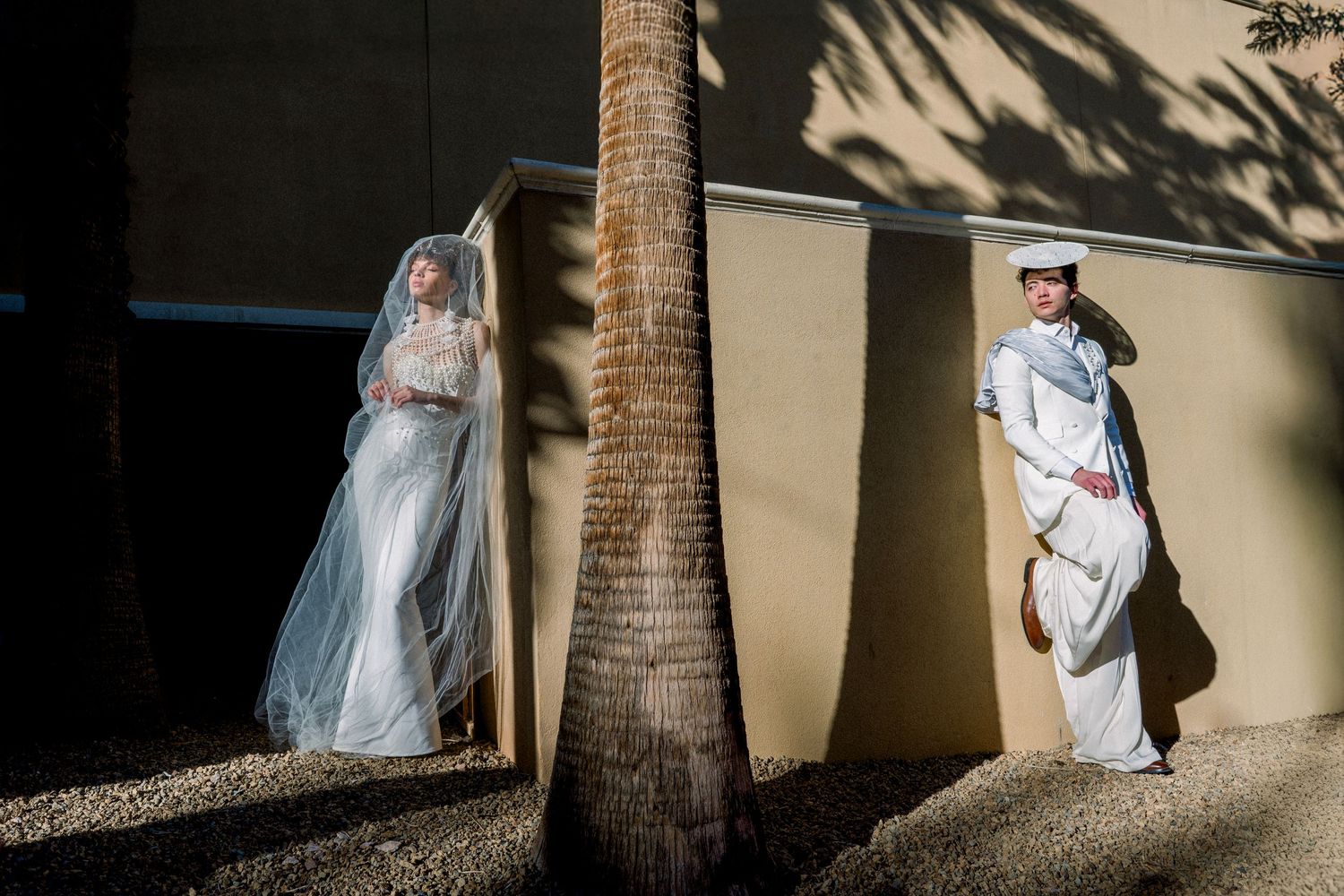 Artistic wedding photo of bride in veil and groom in white suit separated by palm tree in sunlight.