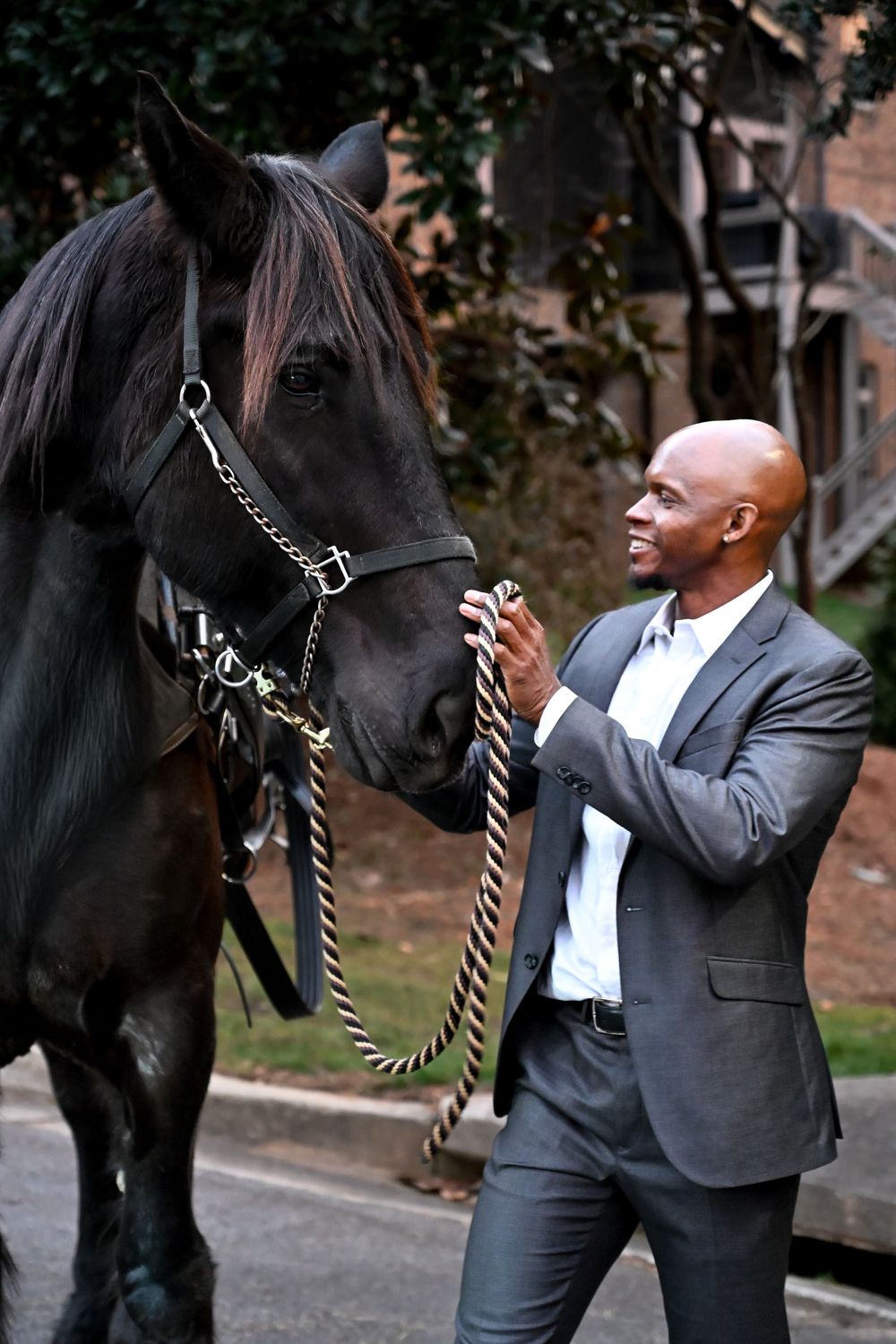 Person in grey suit stands with majestic black horse on a lead rope outdoors.