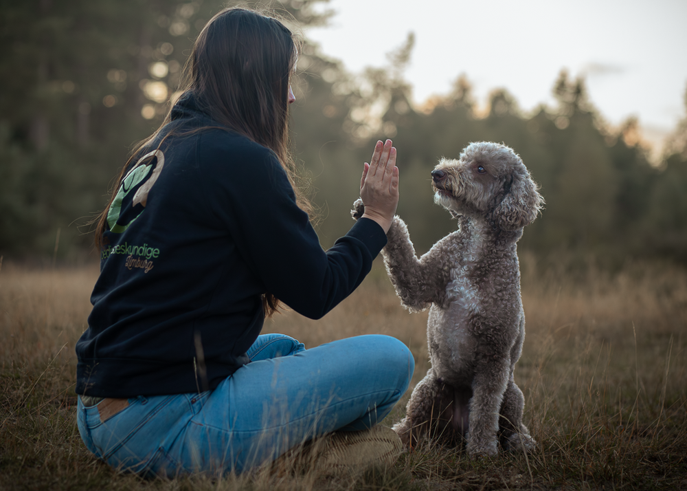 Vrouw met hond die een pootje geeft in het bos.