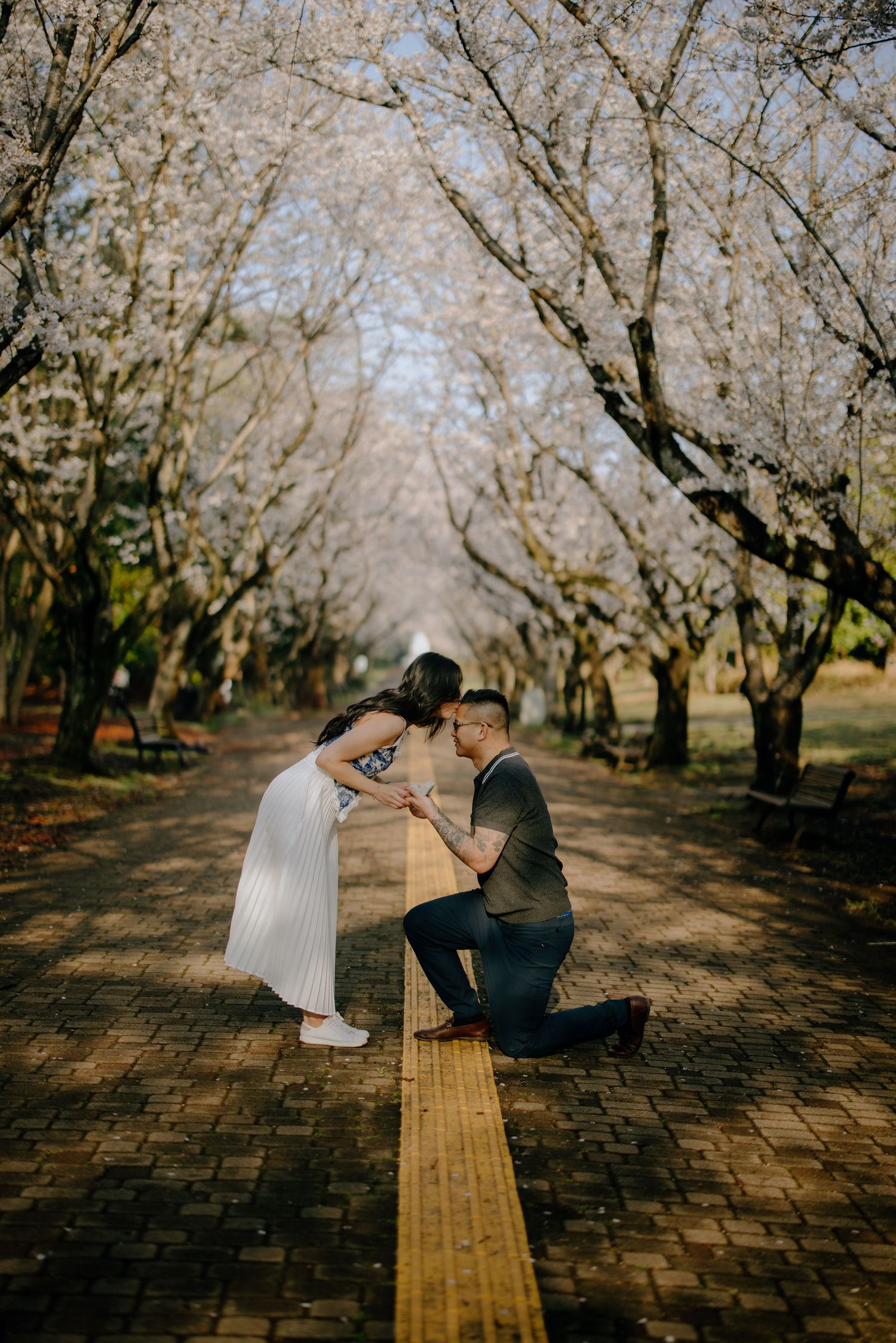 Two figures share a romantic moment on a brick path beneath beautiful blooming spring cherry blossom trees.