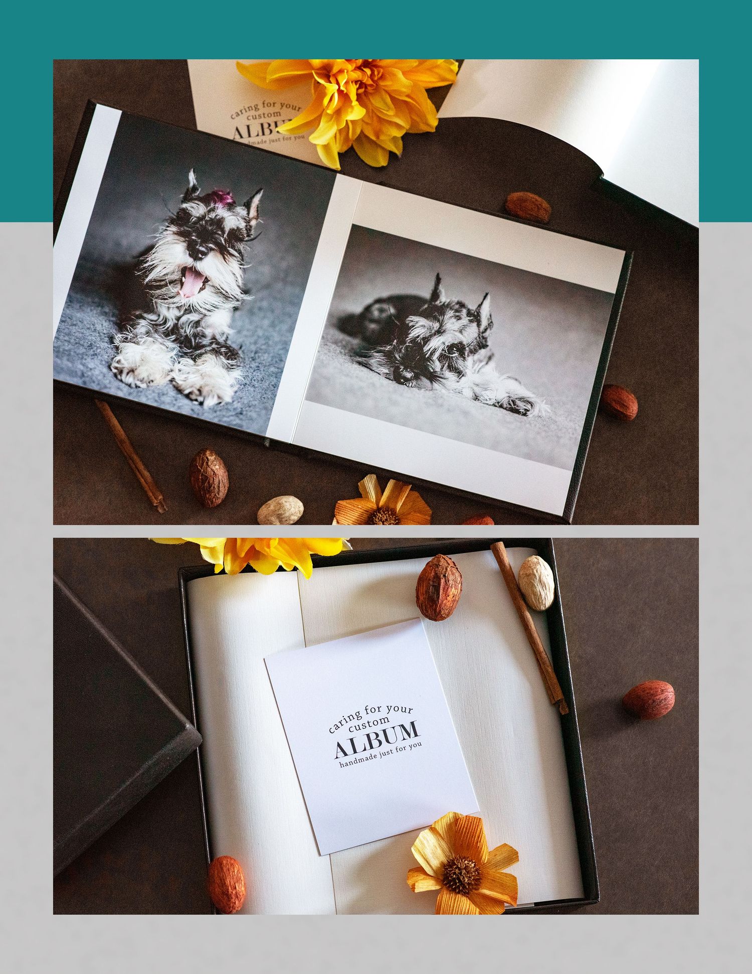 Photographer Red Deer, Alberta. Pet Photographer. Dog Photographer. Fine Art Album
