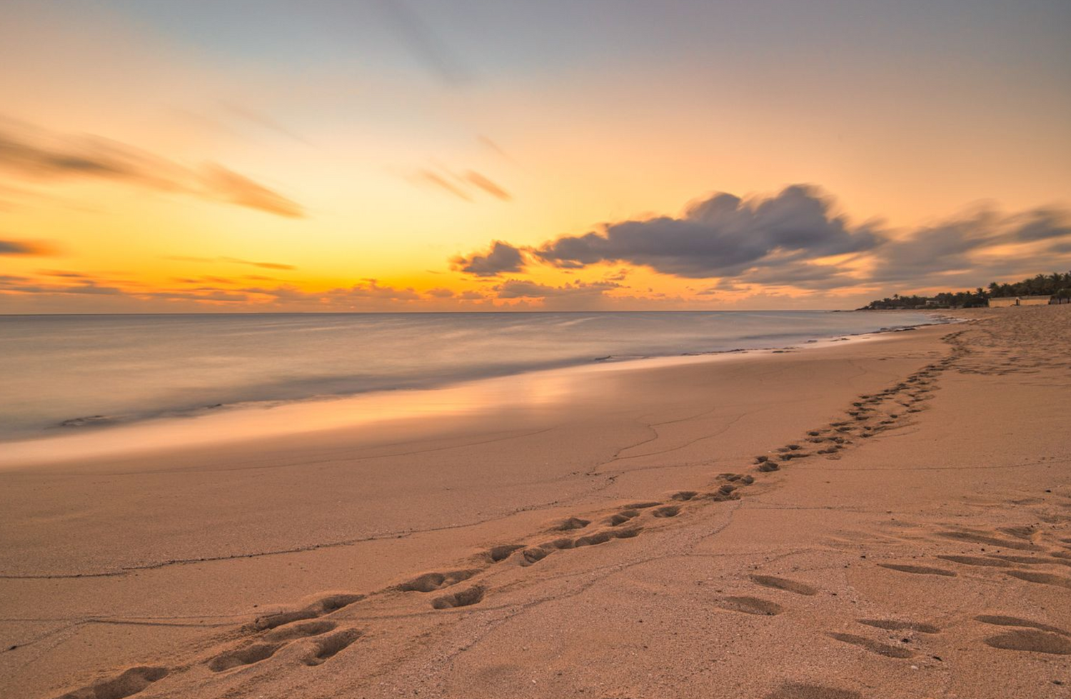 Footprints in the sand