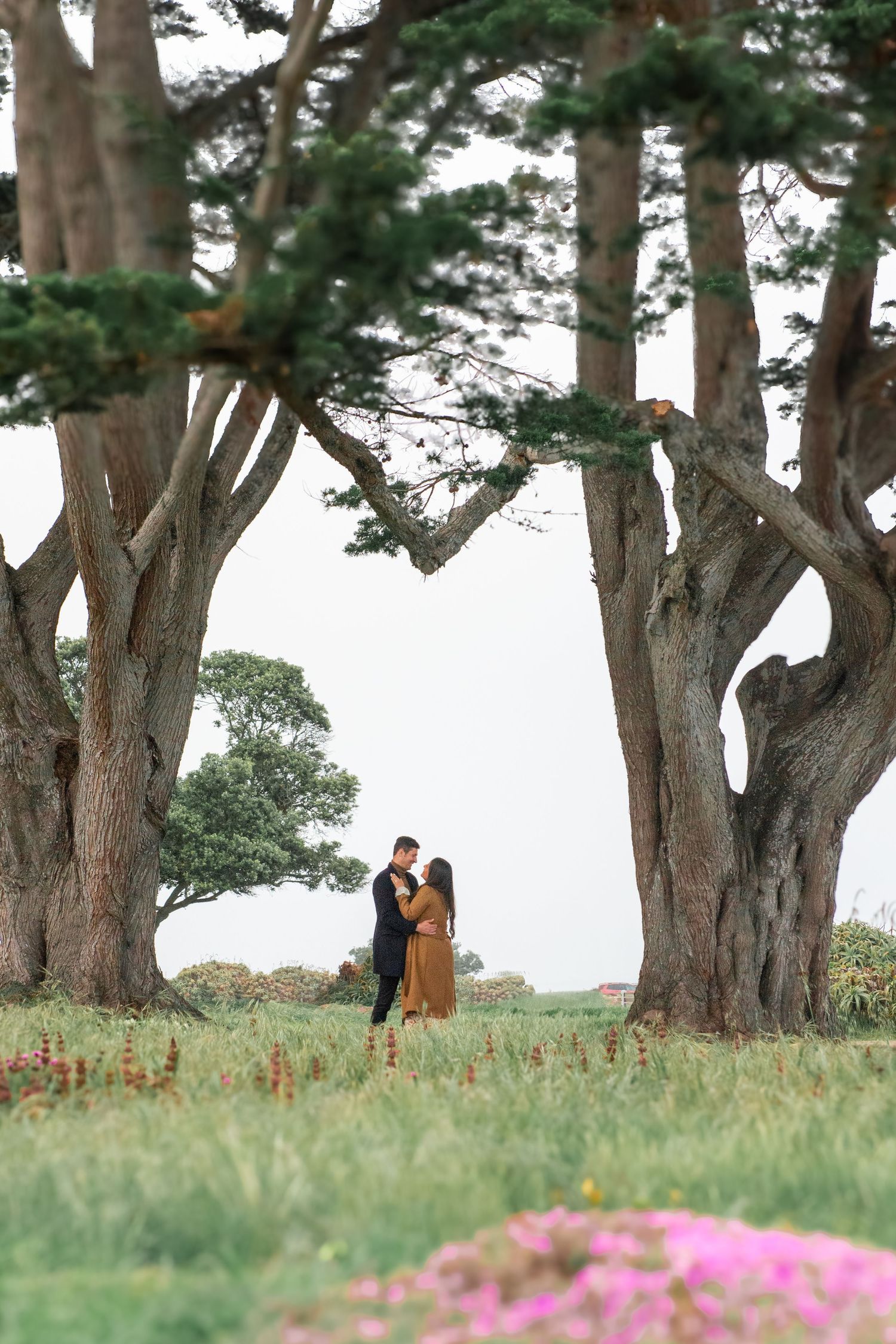 A couple embraces beneath towering cypress trees on a grassy hill with pink flowers blooming in the foreground.