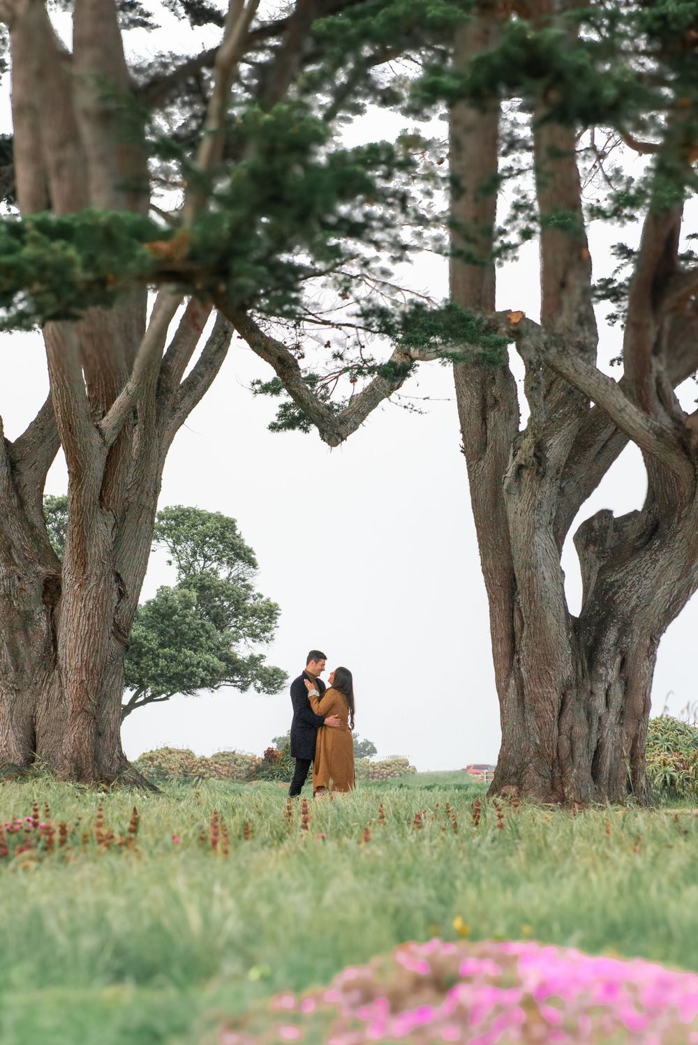 A couple embraces beneath towering cypress trees on a grassy hill with pink flowers blooming in the foreground.