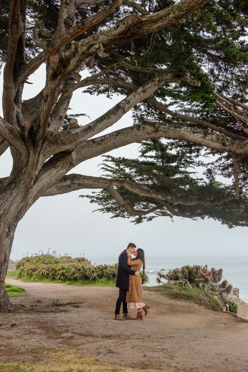 A couple shares an intimate moment under a large cypress tree overlooking a foggy coastal vista at sunset.