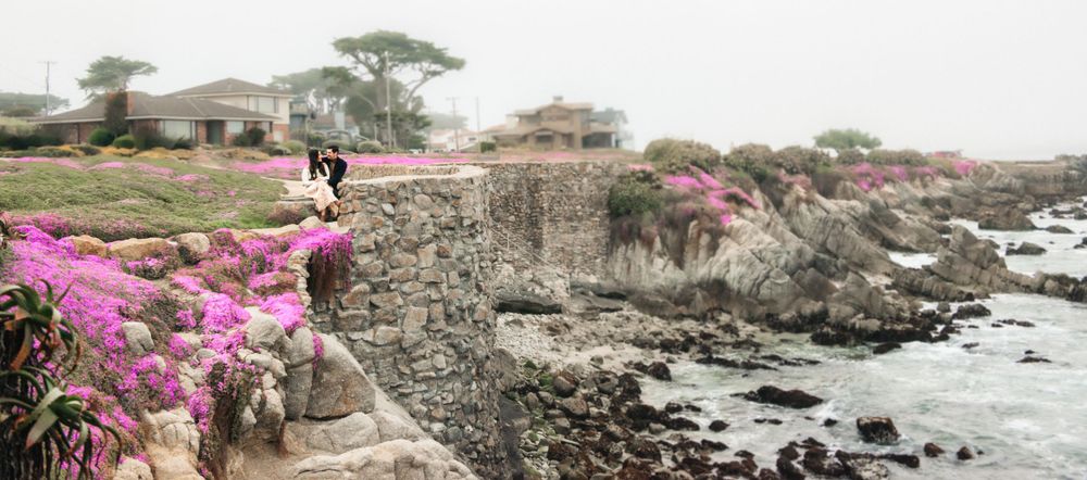 Pink flowering ice plants bloom along rugged coastal cliffs by the ocean in Pacific Grove, California.
