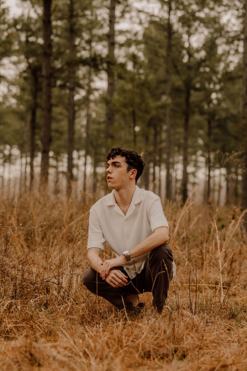 Person in white polo shirt sitting thoughtfully among tall grass in pine forest during sunset.