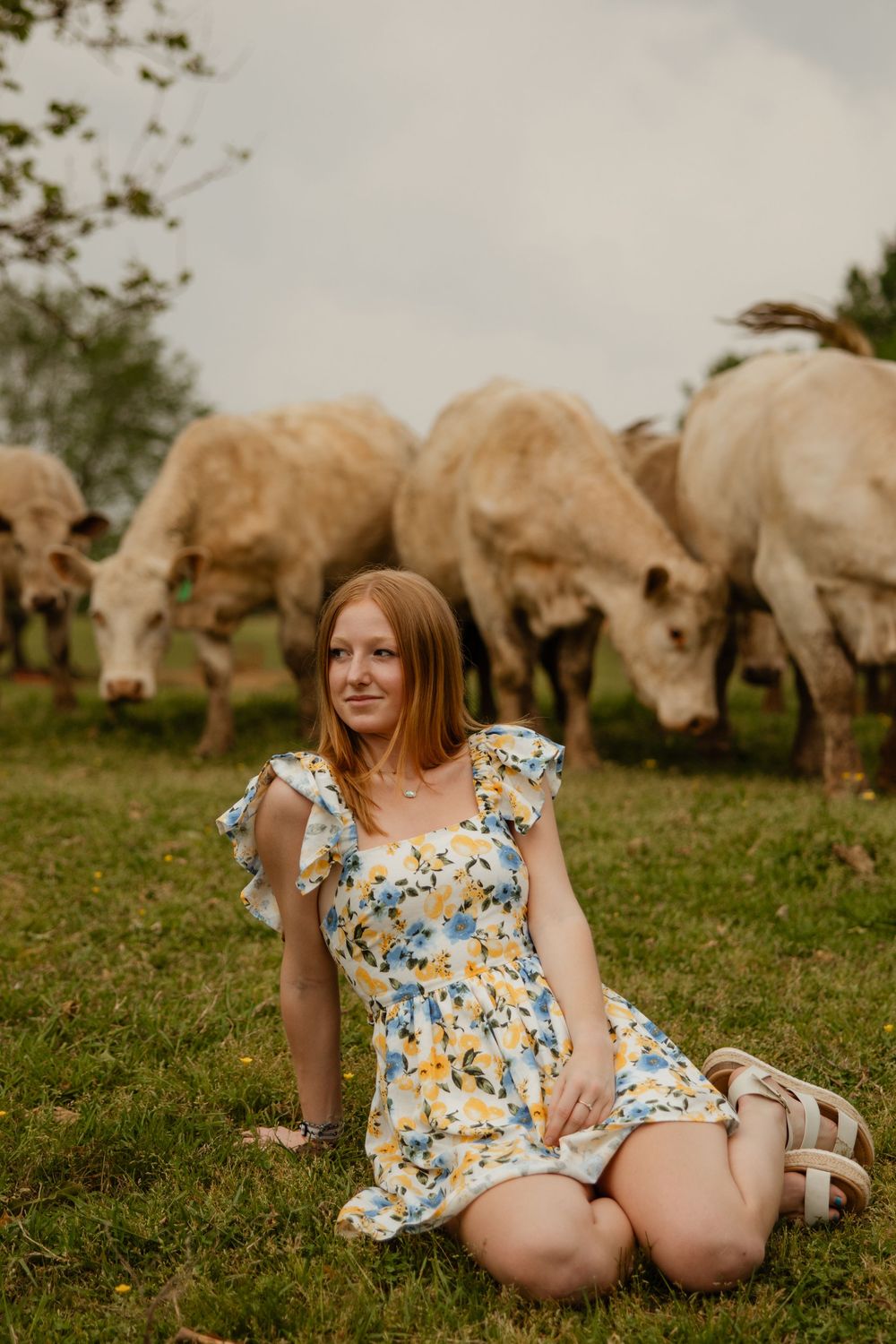 Woman in floral dress sitting in field with grazing cattle in background.