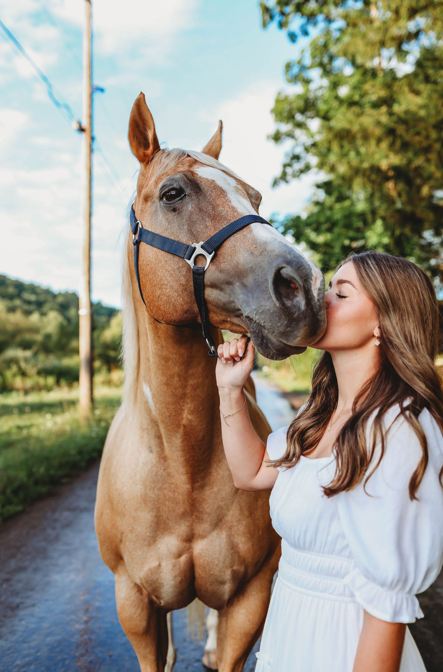 horse senior photos, summer, senior girl, smethport, port allegeny