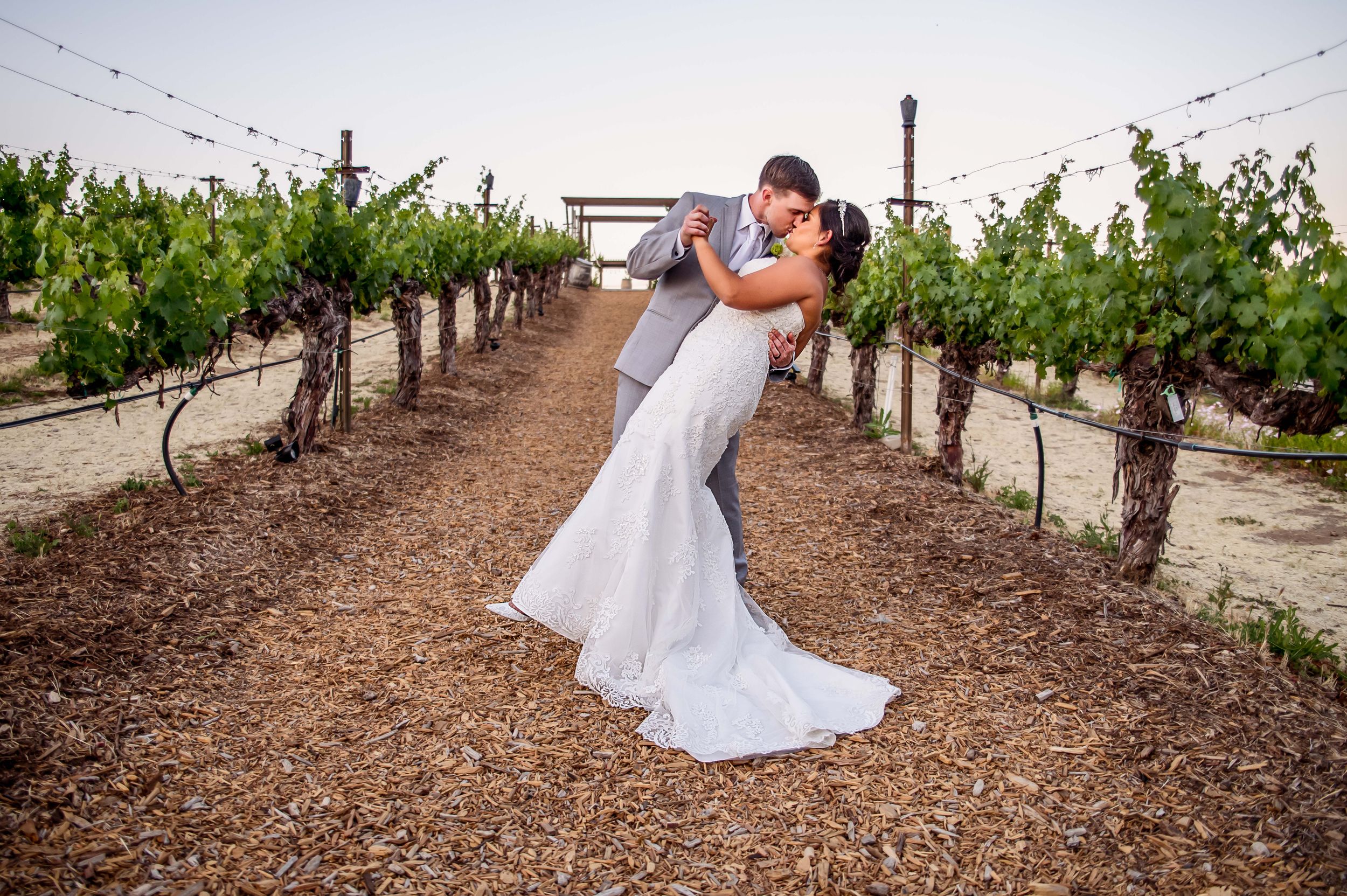 Couple poses in romantic scenes throughout a vineyard with rows of grape vines stretching into the distance.