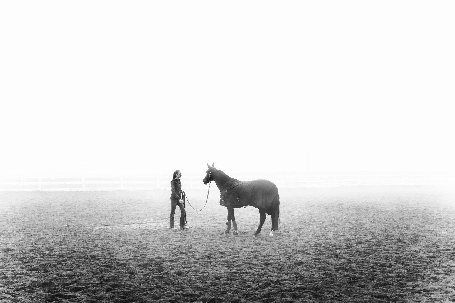 Outdoor pet portrait photography in Metro Detroit by Brighton photographer; horse and rider warming up in the fog