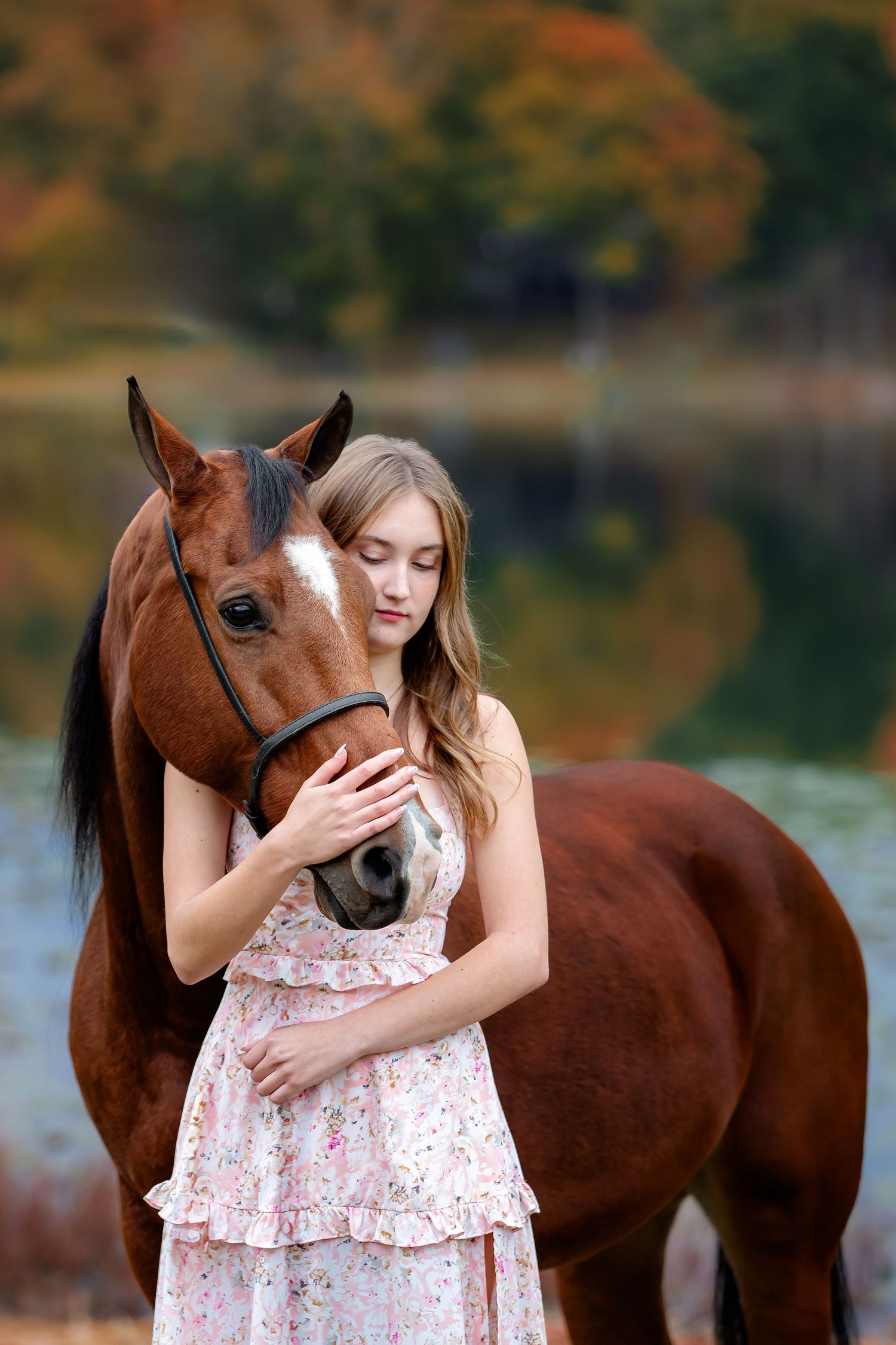 High school senior girl with horse; equine senior photos in Fenton, MI.  Pet portraits by Brighton, Michigan photographer
