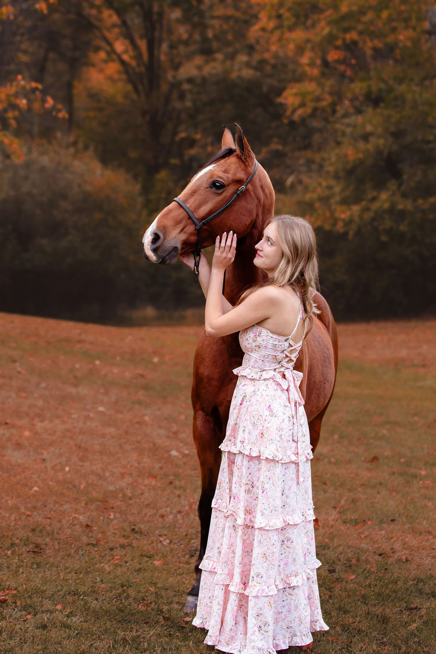 High school senior girl with horse; equine senior portrait session in Fenton, MI.  Pet photos by Brighton, Michigan photographer