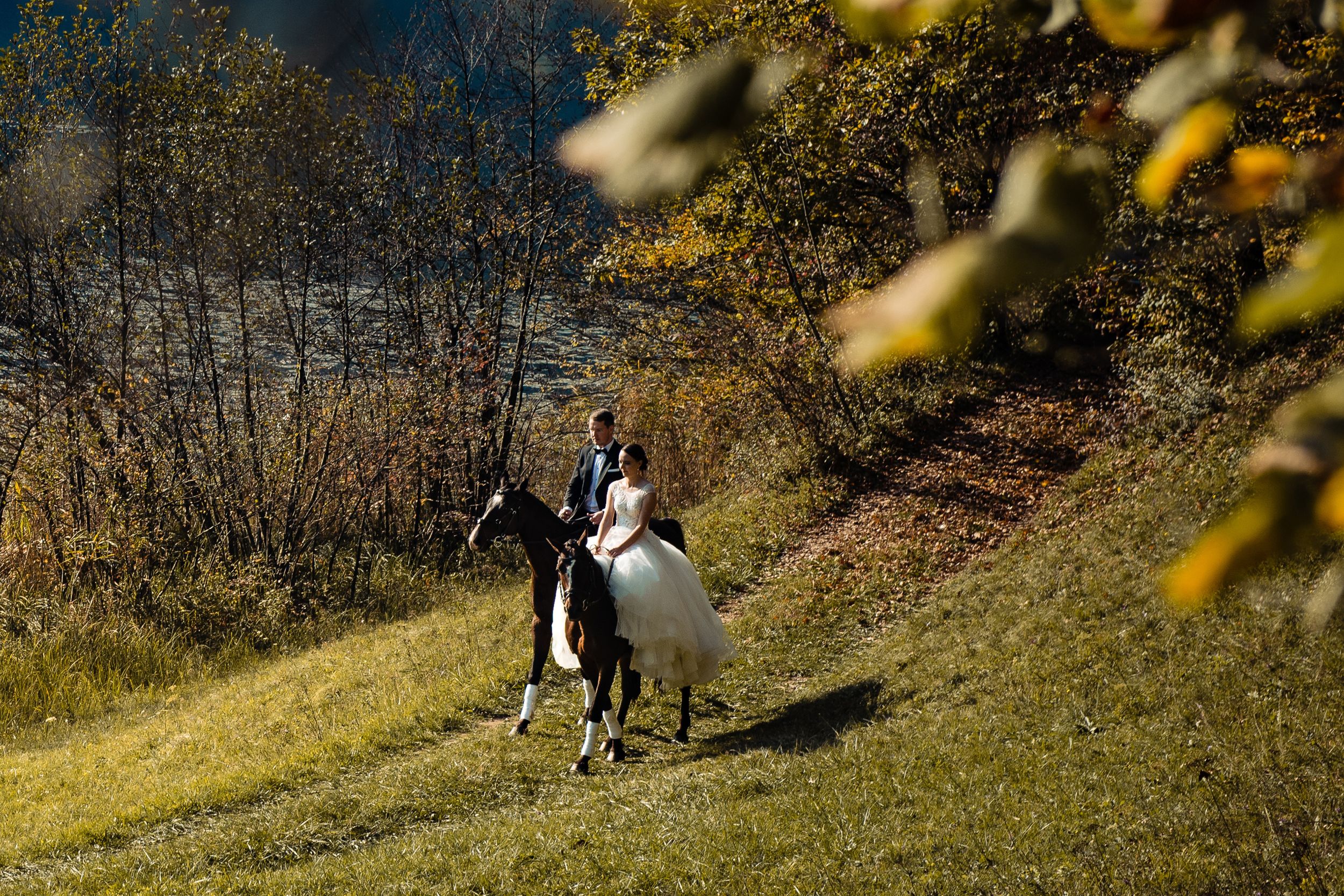 A black and white dog runs playfully across a grassy autumn hillside in golden sunlight.
Poroka slovenija