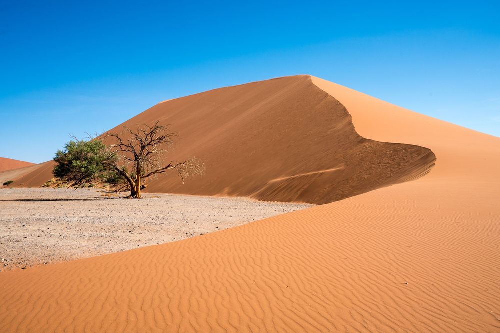 Majestic red sand dunes stretch across Namib Desert landscape under bright blue sky near Sossusvlei, Namibia.