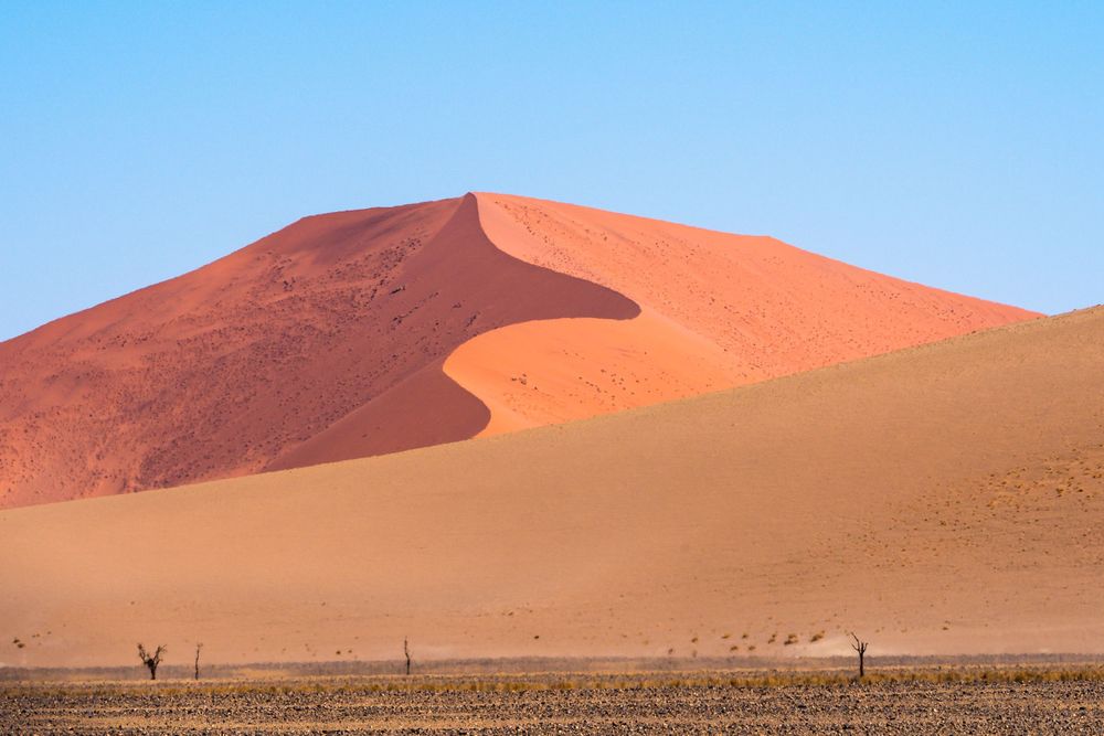 Panoramic view of towering orange sand dunes against bright blue sky in the Namibian desert.