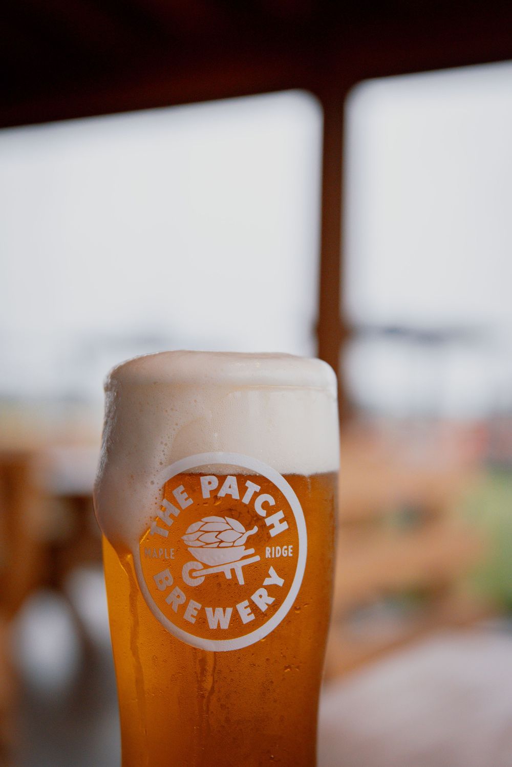 A series of beer glasses showing progressively closer views of a Fat Patch logo on golden craft beer.