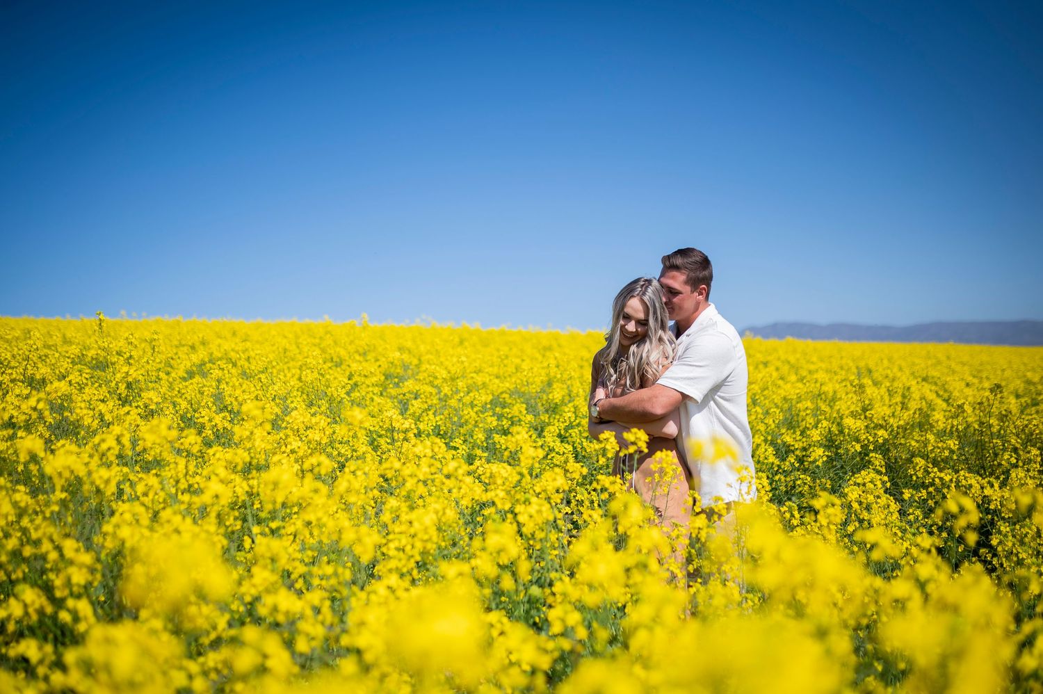 Couple embraces in a vibrant yellow canola field against a bright blue sky during golden hour.
