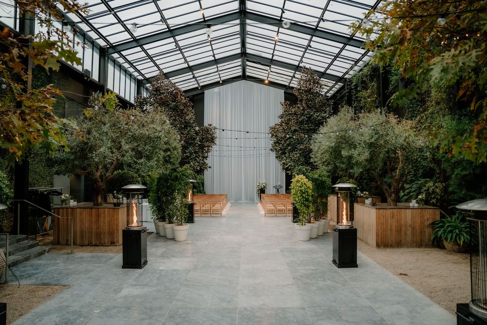 Modern greenhouse interior with transparent roof panels and wooden fencing creates a botanical sanctuary atmosphere.
