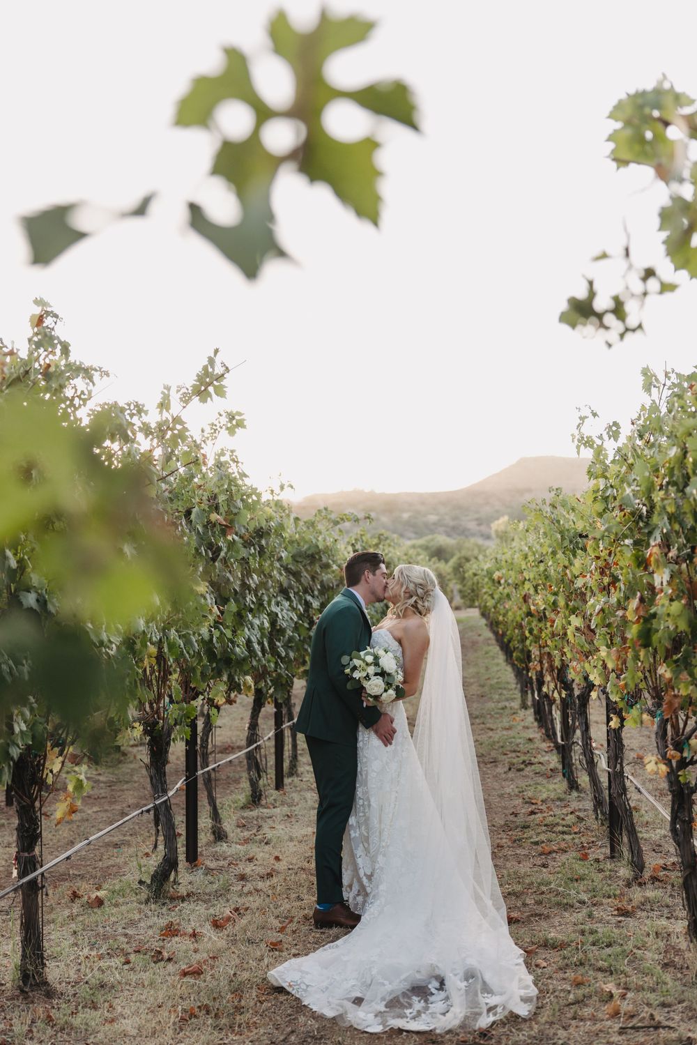 Couple shares an intimate moment among vineyard rows during wedding photoshoot at sunset.