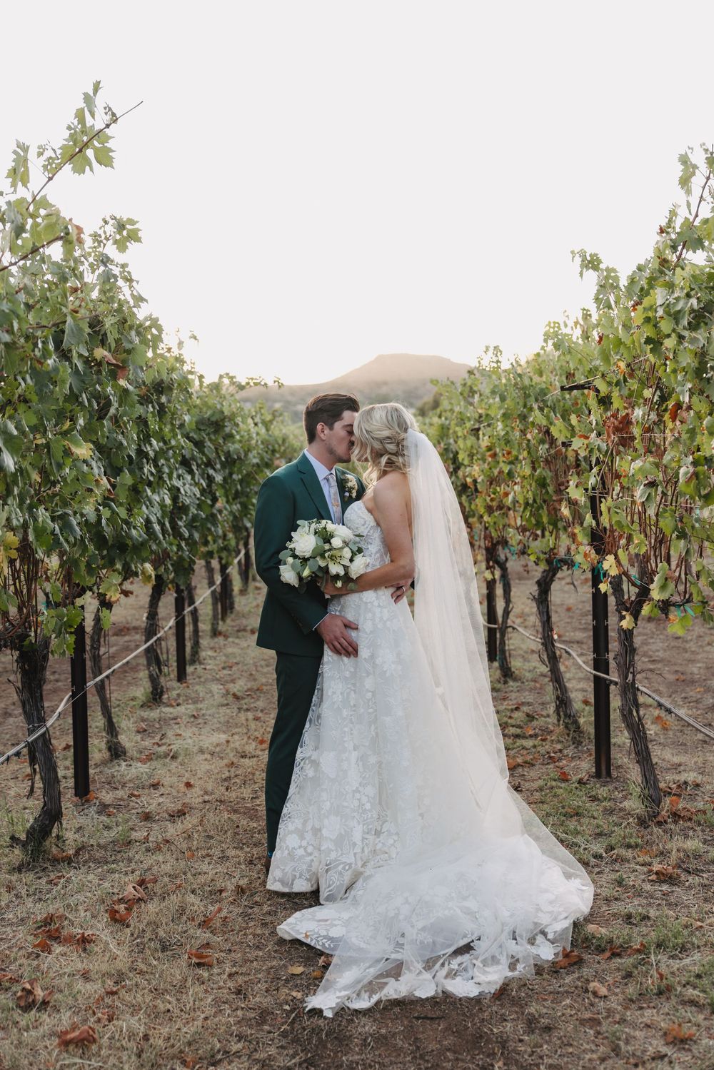 A romantic couple shares intimate moments between rows of grapevines at a vineyard during sunset.