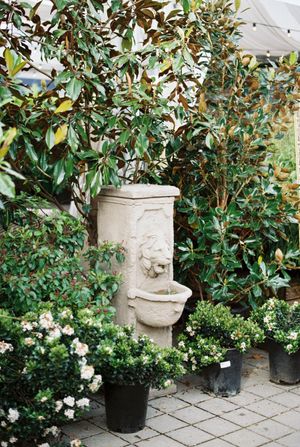 Stone planters and potted magnolia trees line a garden pathway with white roses.
