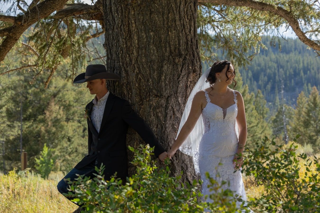 A couple in wedding attire stand on opposite sides of a large tree trunk with mountain views in the background.