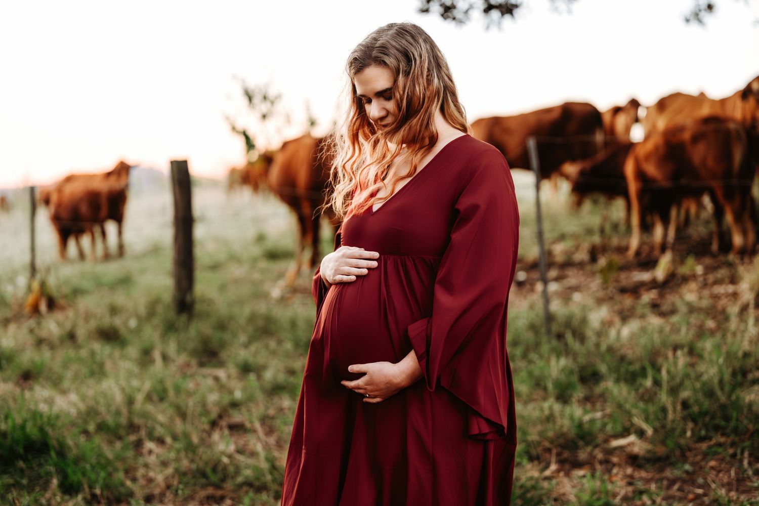 Woman in burgundy dress stands in field with red cows grazing in background at sunset.