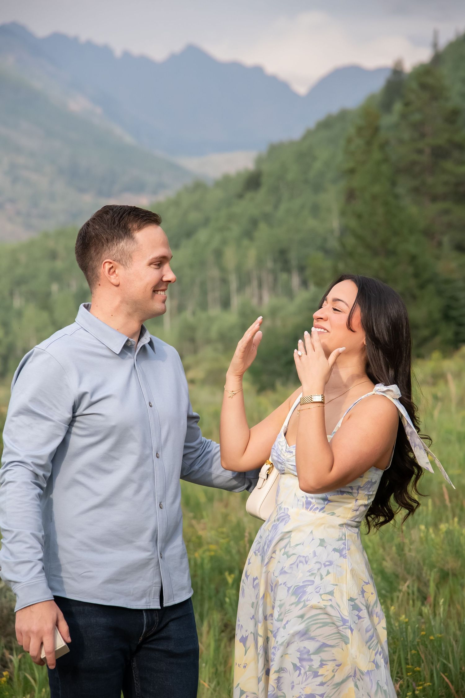 Vail proposal