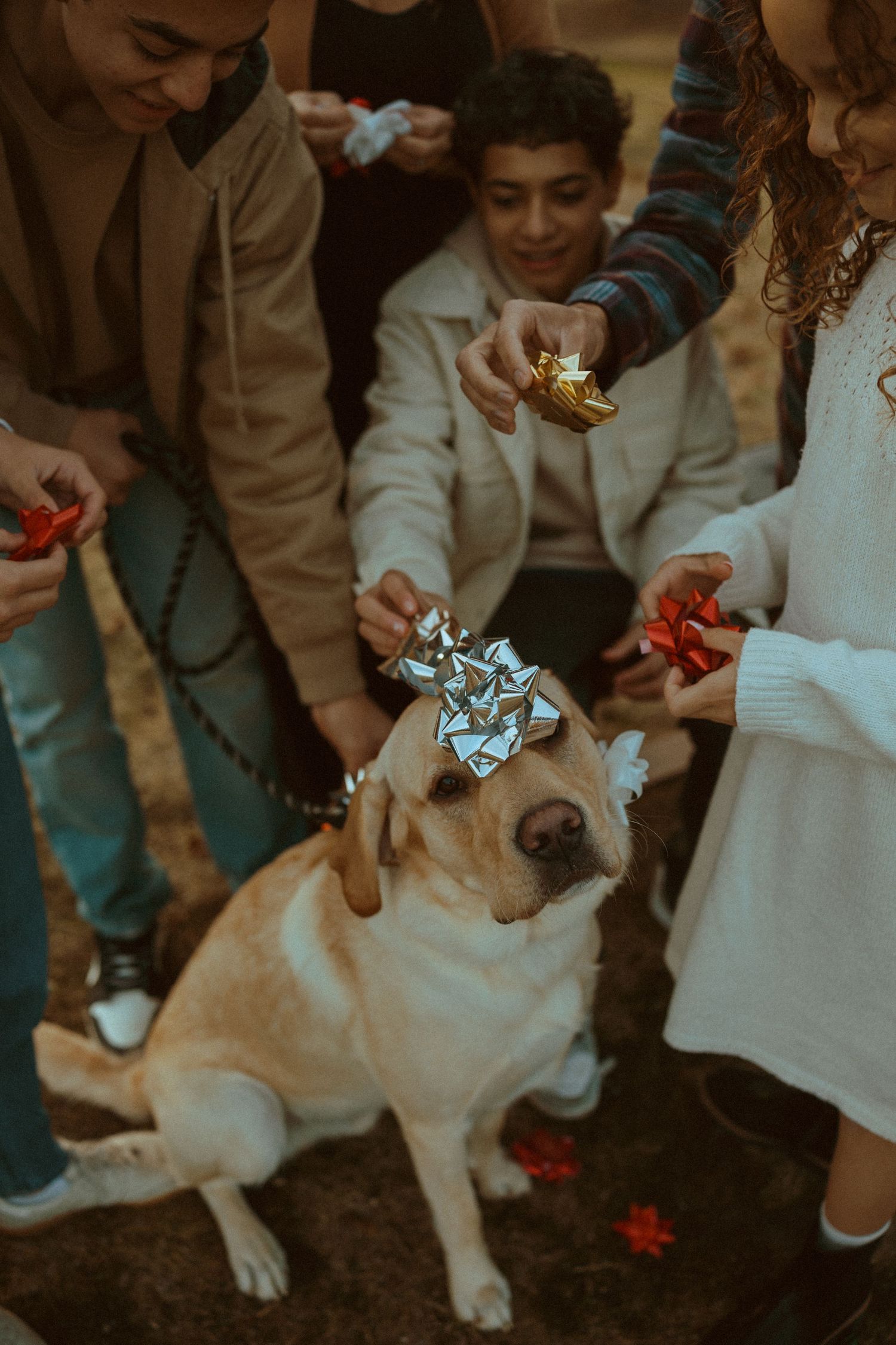 family session Woodward park holiday Christmas fall
