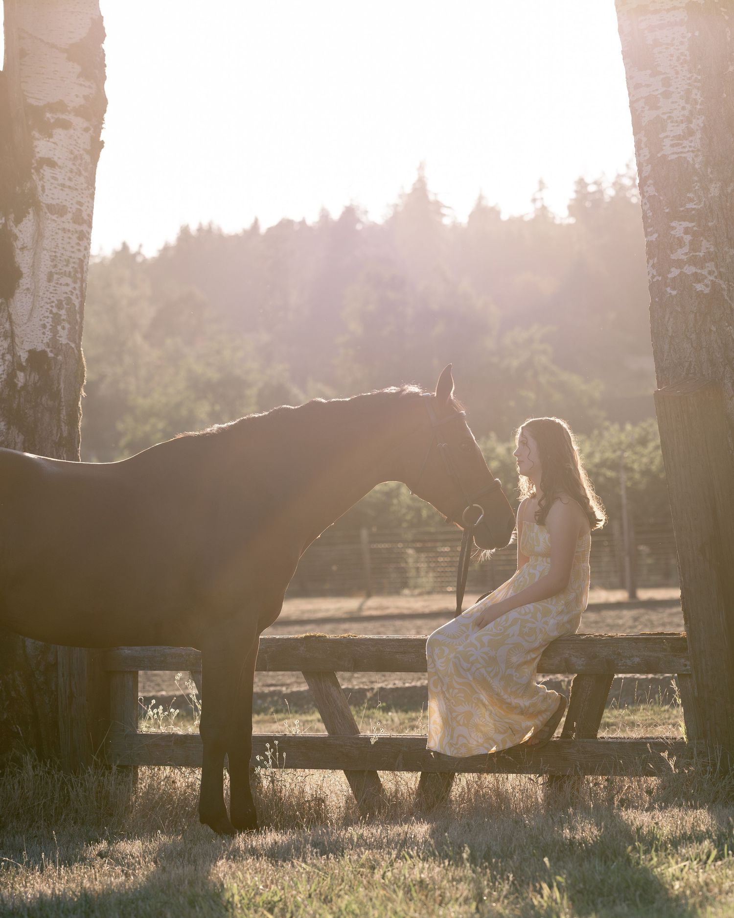 Outdoor horse and rider portrait during summer photoshoot in Wilsonville, Oregon Copyright Amanda Barr Photography