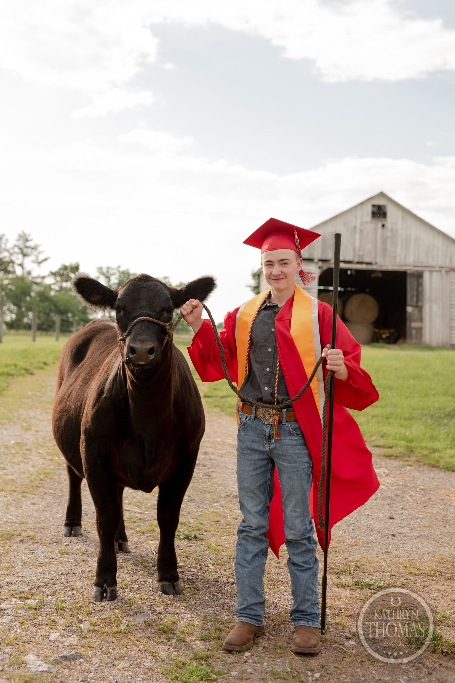 Graduate in red and gold regalia stands with show cow on dirt path by weathered barn.