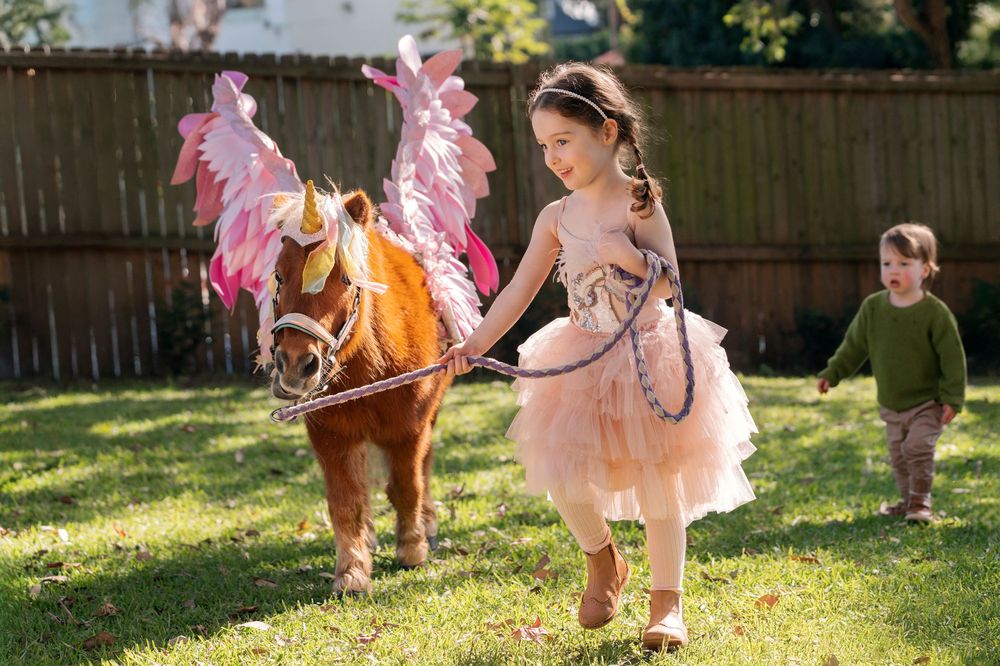 A young girl in a pink fairy dress leads a miniature horse dressed as a unicorn with wings across a sunny backyard in Sydney photoshoot