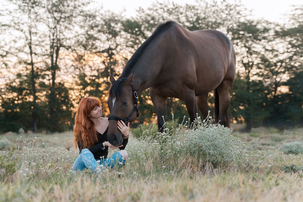 Red-haired woman sitting at sunset, gently bonding with a dark brown horse amid wildflowers photoshoot with her horse in terry hills sydney