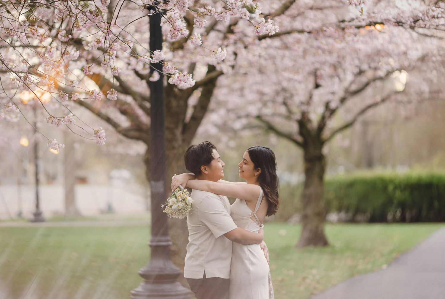 cherry-blossom-engagement-session-Toronto.jpg
 cherry blossom engagement photoshoot in Toronto