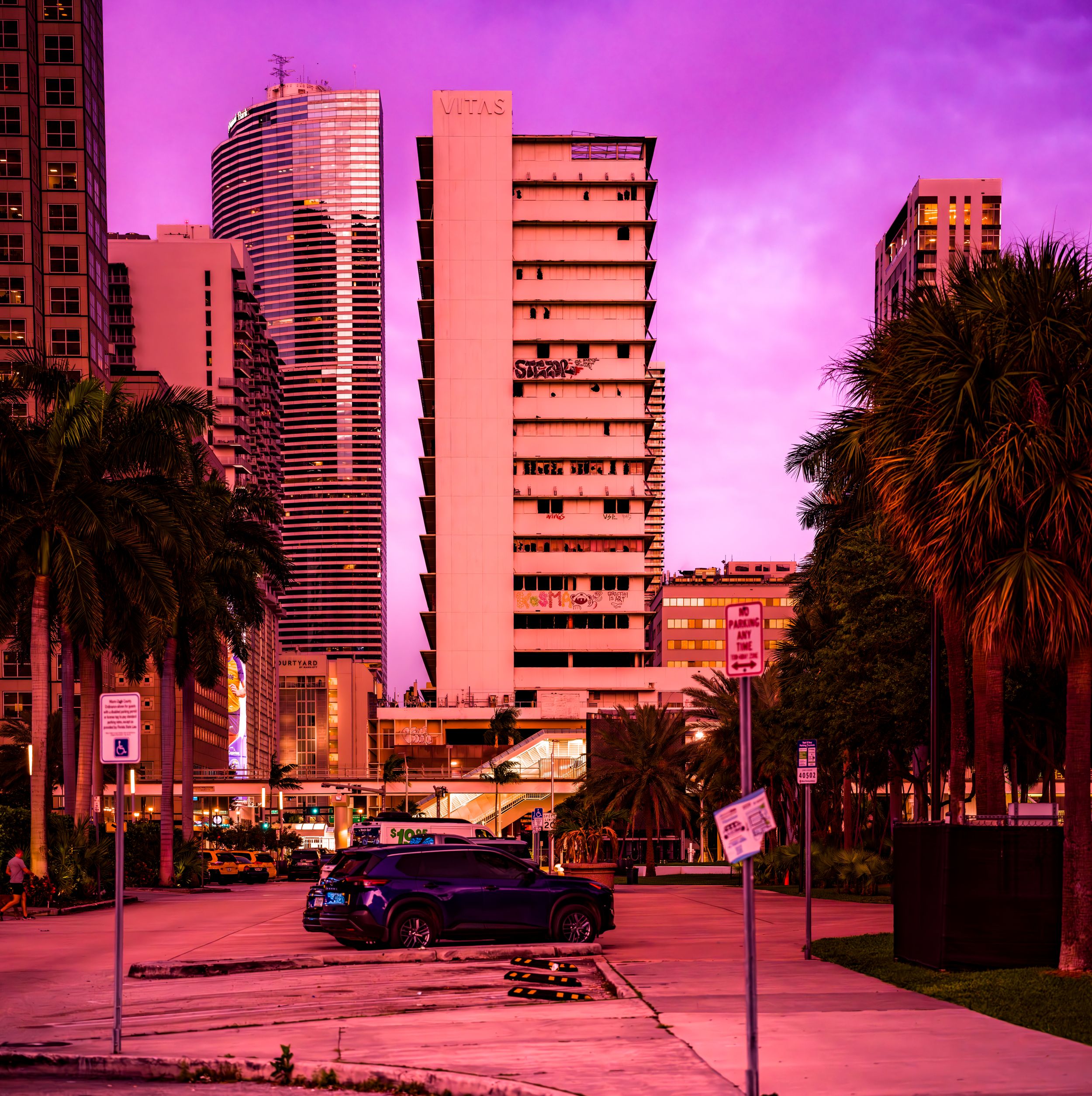 Purple-toned dusk cityscape with palm trees and high-rise buildings