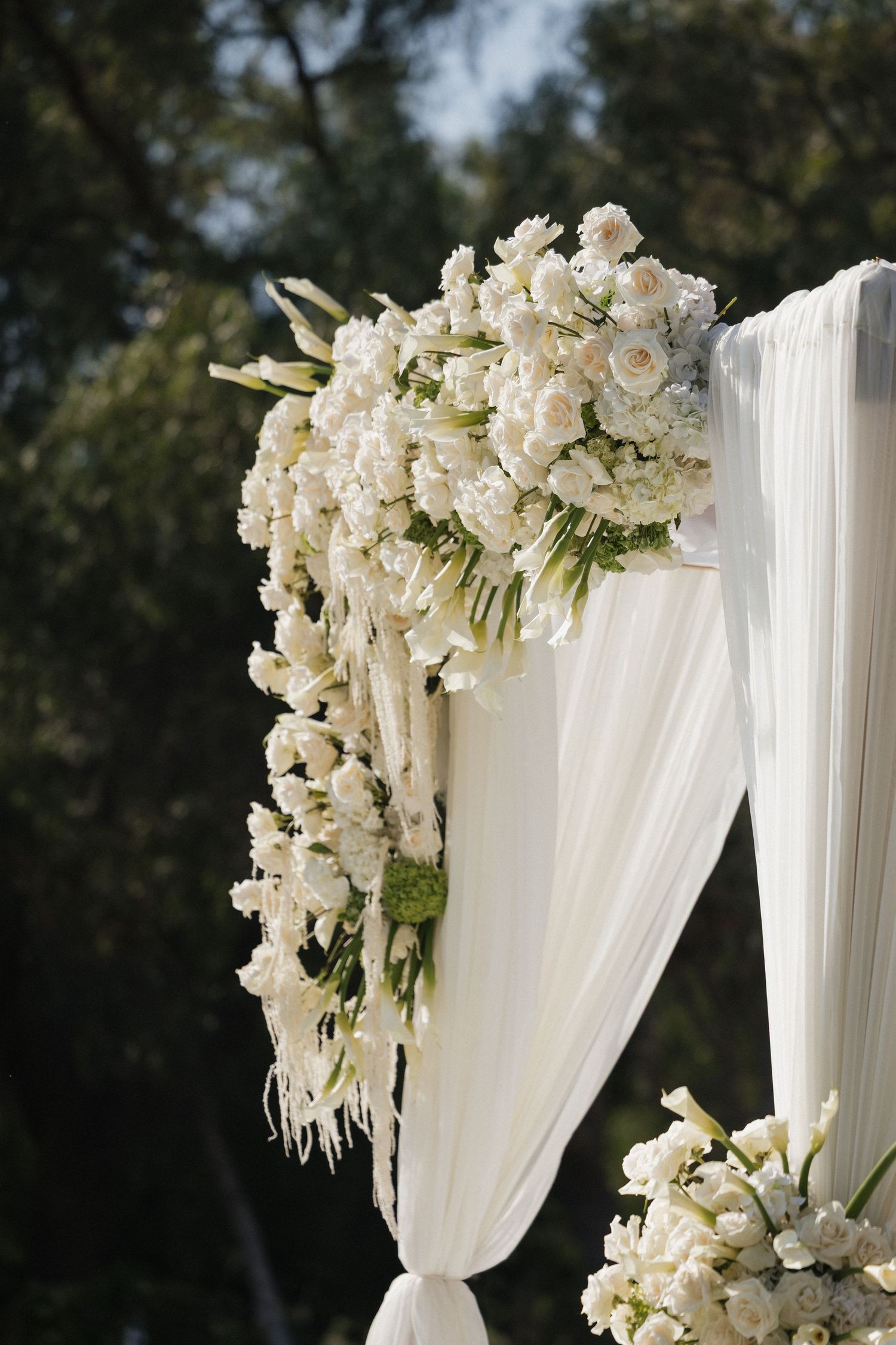 Close-up of lush white rose and flower arrangement on draped wedding ceremony arch.