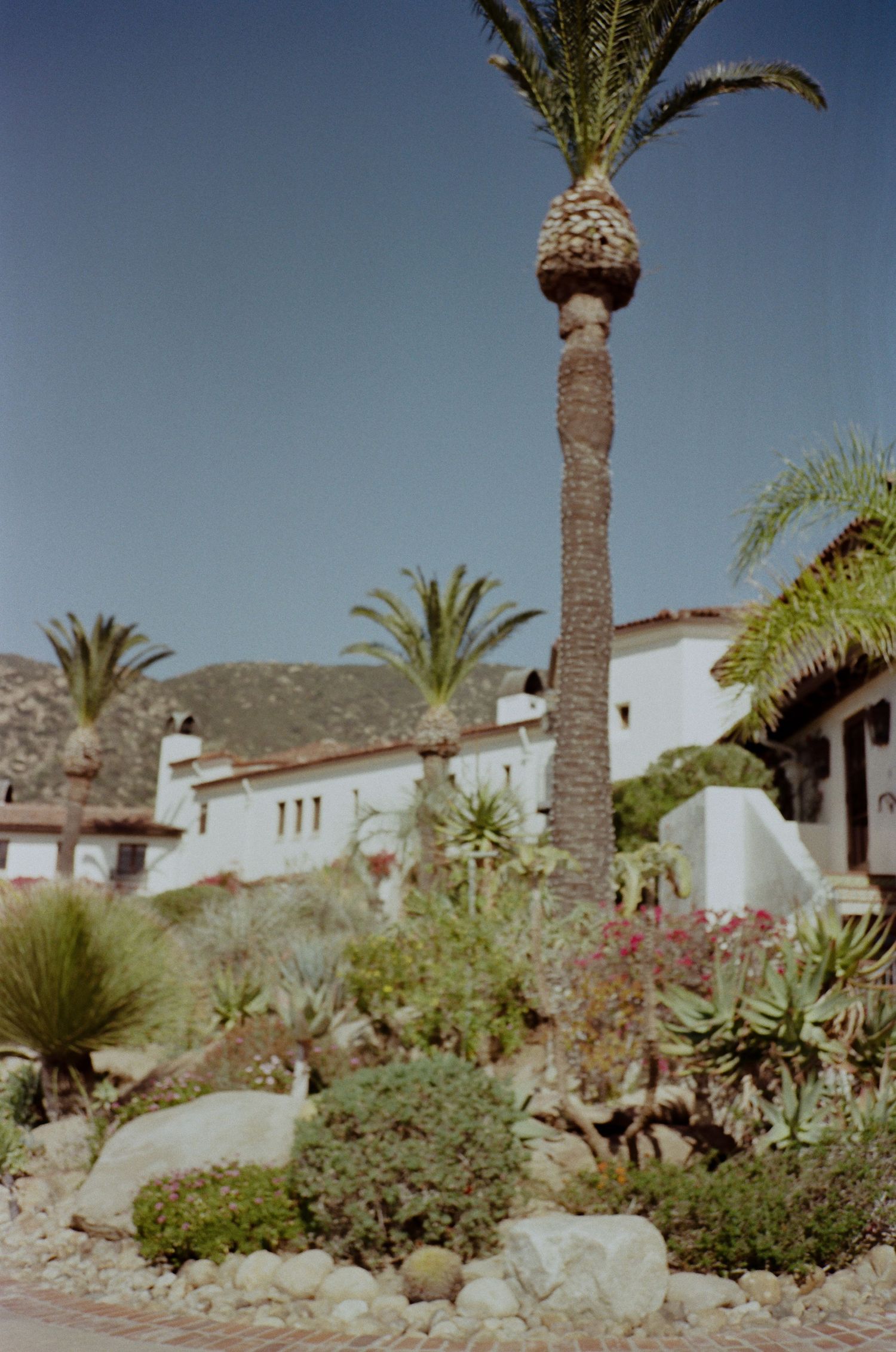 Palm trees and desert plants surround a white Spanish-style villa with red tile roof against a mountain backdrop.