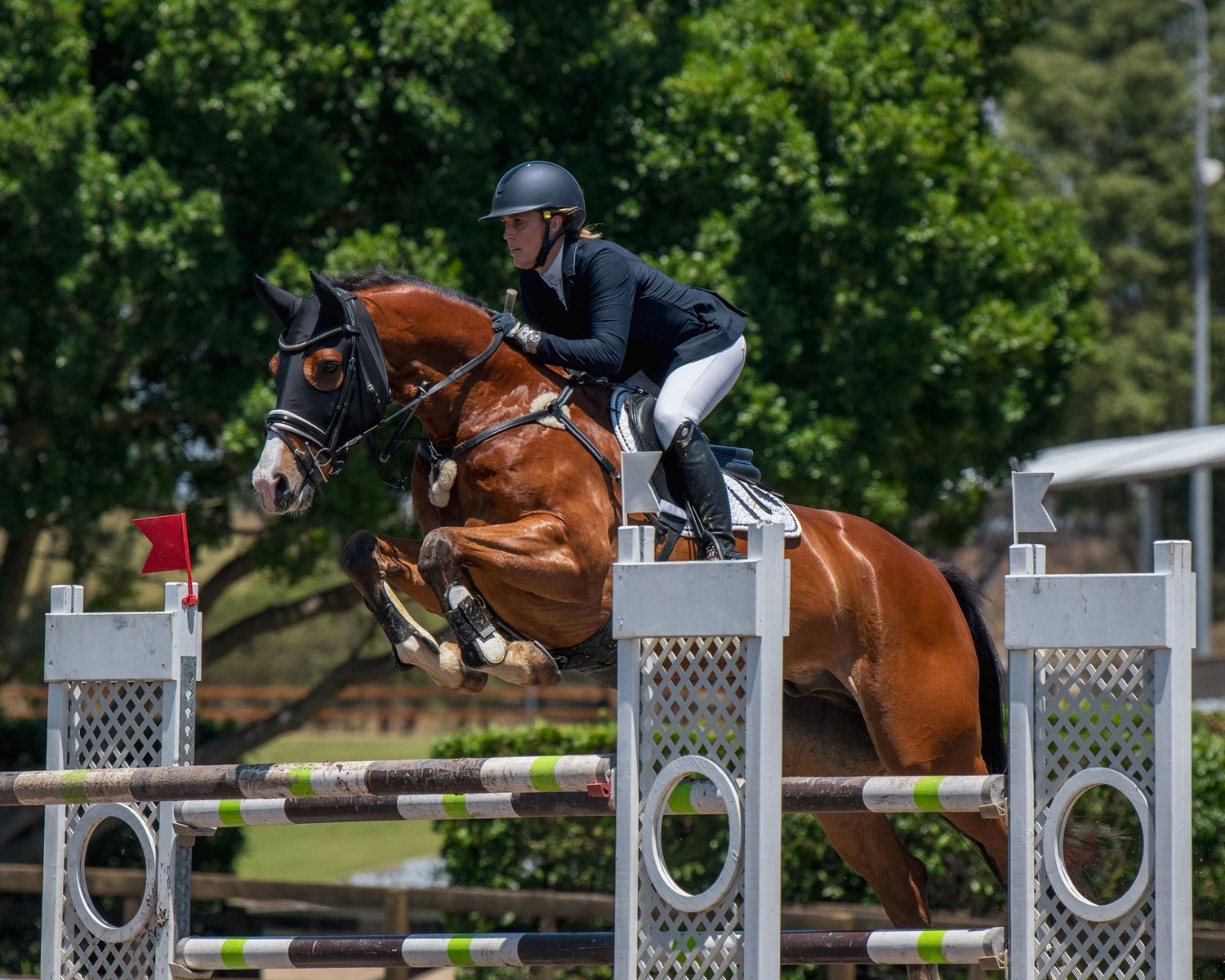 Equestrian rider in black jacket jumping a bay horse over a show jumping fence at an outdoor competition.
