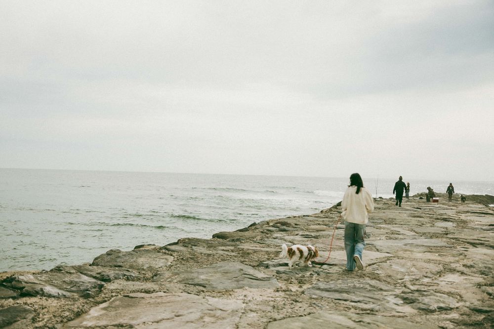 Person walking a dog on rocky coastal path by the sea on an overcast day.